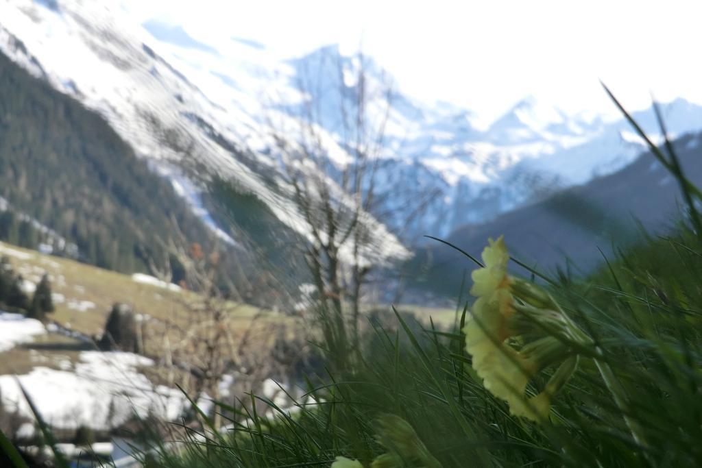 Alps Tux Apartman Kültér fotó