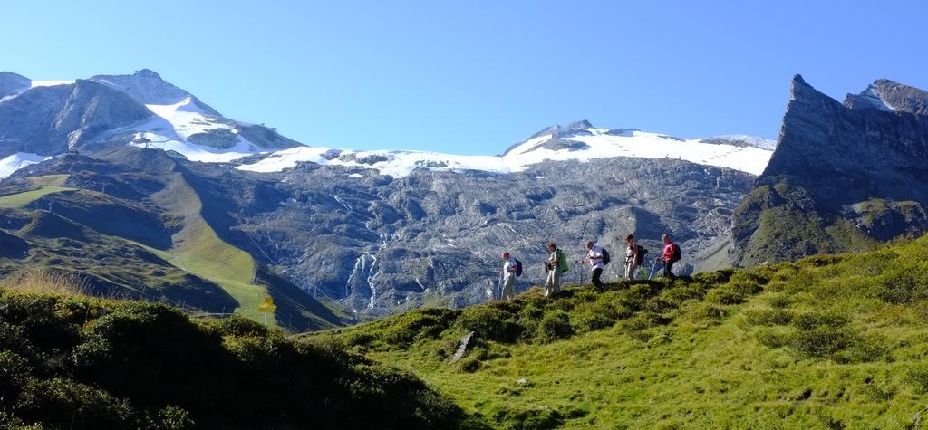 Alps Tux Apartman Kültér fotó